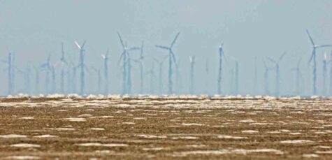 Wind turbines 2 Padre DSC_0196 crop 2 small