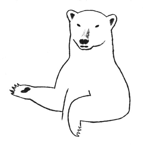 polar bear 1 inverted horizontally